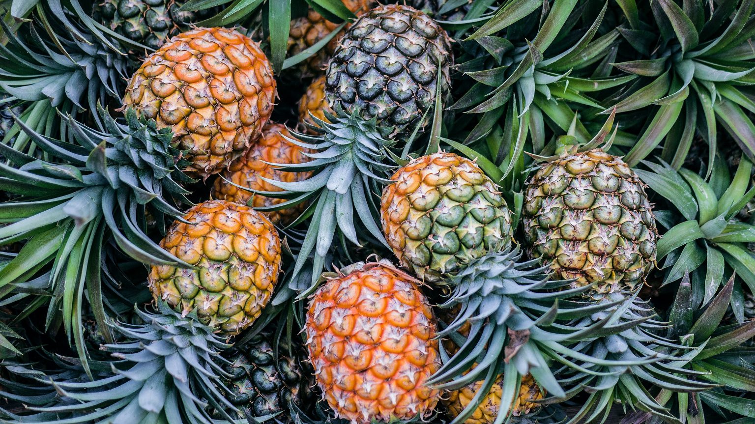 Pineapple Costa Rica Industry Overview and Challenges