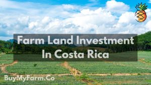 farm land investment