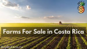 farms for sale Costa Rica