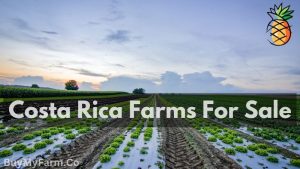 Costa Rica farms for sale
