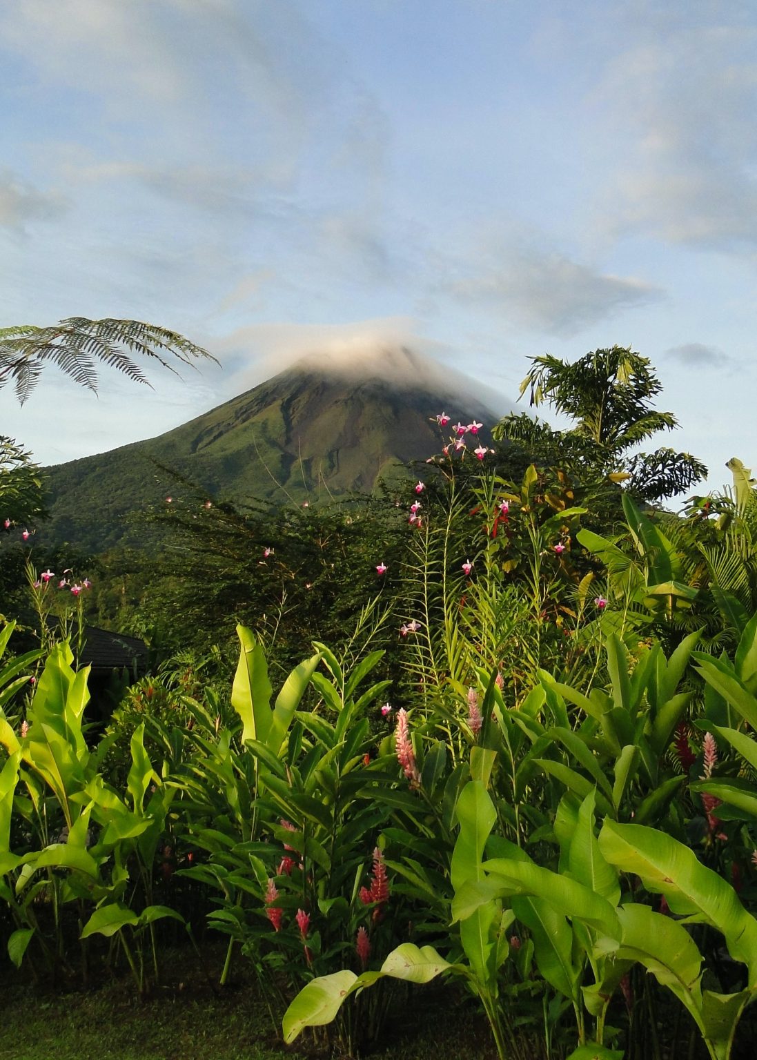 Costa Rica Farms for Sale - Guide On Investing in Agriculture