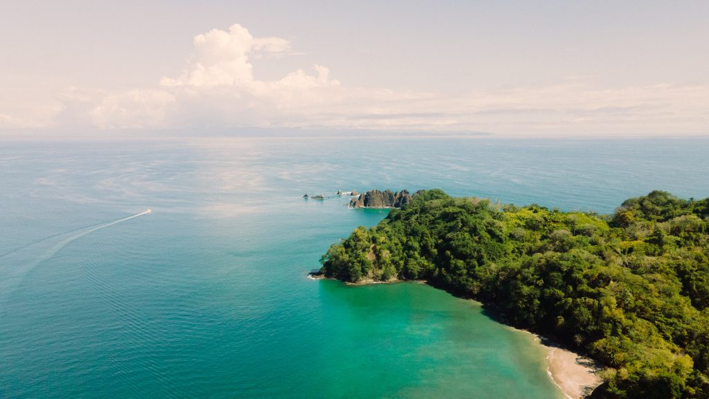 Costa Rica Farms for Sale - Guide On Investing in Agriculture